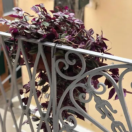 Historico Apartment, Corfu Old Town Apartment